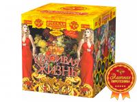 Красивая жизнь Фейерверк купить в Вяземском | vyazemskij.salutsklad.ru