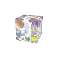 Новогодняя ночь Салют купить в Вяземском | vyazemskij.salutsklad.ru