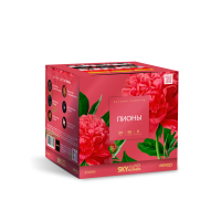 Пионы Салют купить в Вяземском | vyazemskij.salutsklad.ru