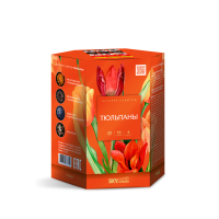Тюльпаны Салют купить в Вяземском | vyazemskij.salutsklad.ru