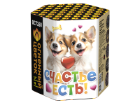 Счастье есть! Салют купить в Вяземском | vyazemskij.salutsklad.ru