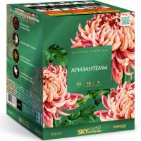 Хризантемы Фейерверк купить в Вяземском | vyazemskij.salutsklad.ru