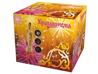 Хризантема Салют купить в Вяземском | vyazemskij.salutsklad.ru